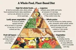 plant-based-diet